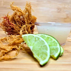 Plain Jane Sea Moss Gel